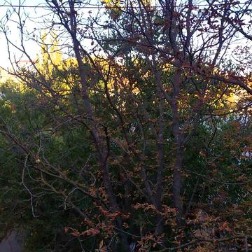 Довгострокова оренда 1к Квартира Миколаївська вулиця