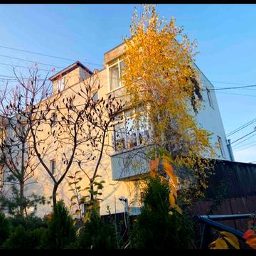 Центральна вул., 16