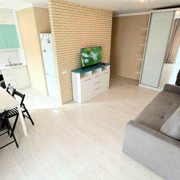 1к Плеханова 14 (В. Великого) , Центр, небольшая собачка обсуждается