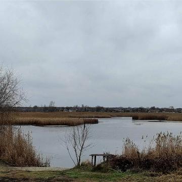 Бєлградська вул.