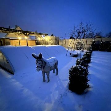 Продам приватний будинок з басейном та каміном