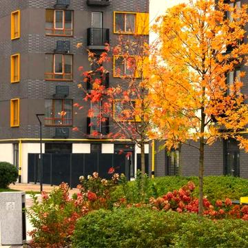 Квартира в готовому зданому будинку з газом! Чистове наповнення ЖК Молодість