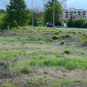 Вишенське озеро, Вінниця, Вінницька область 90000.0 UAH