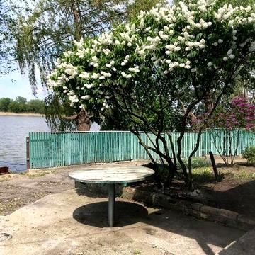 Будинок біля річки