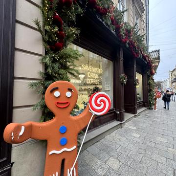 Академіка Володимира Гнатюка вул. (), 19