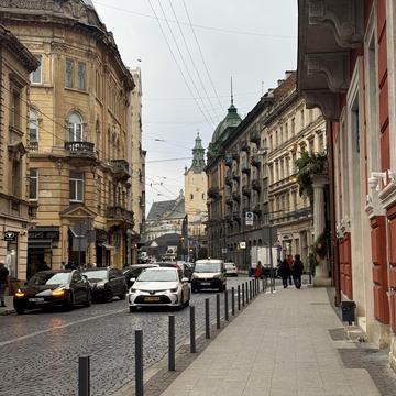 Академіка Володимира Гнатюка вул. (), 19