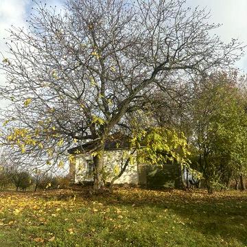Продаж будинку в с.Гільці