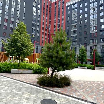 Університетська вул., 1л