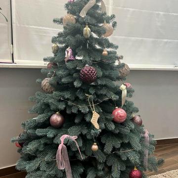 Інглезі вул. (25-ї Чапаєвської Дивізії), 3/1