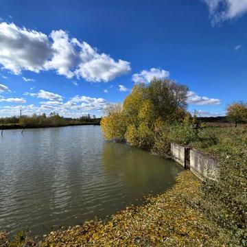 Хомяківка, Івано-Франківський, Івано-Франківська область 349000.0 USD