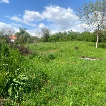 Продаю велику земельну ділянку та будинок