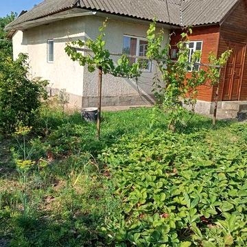 Будинок в с.Атаки Чернівецької області