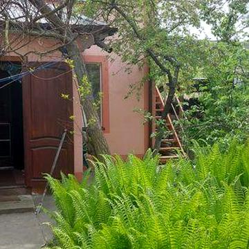 Житло на биківні