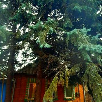 Казковий будиночок !