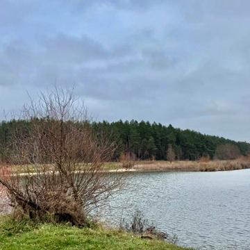 Мотижин, Бучанський, Київська область 125000.0 USD