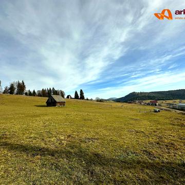 Поляниця, Надвірнянський, Івано-Франківська область 390000.0 UAH