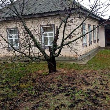 Цегляний будинок з ванною та туалетом, Ротмістрівка