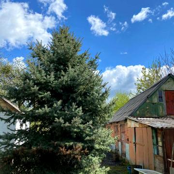 провулок Садовий, 1