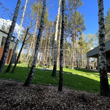 Набережна вул.