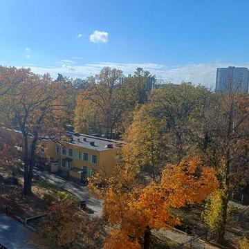 Сдам 3-х кімнатну квартиру