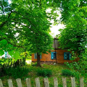 Здам будинок у селі для родини з дітьми