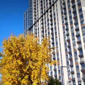 Академіка Заболотного вул., 1-Б