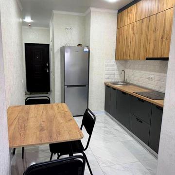 Сдам 1к квартиру в Одессе с новым ремонтом.Центр в 10мин.Животные ок