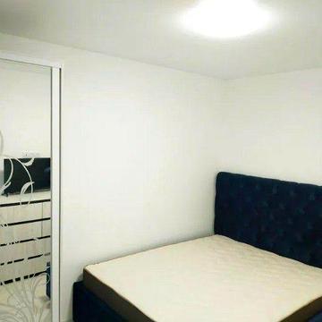 1к пр.Поля 27д, низ Кирова, небольшое животное обсуждается