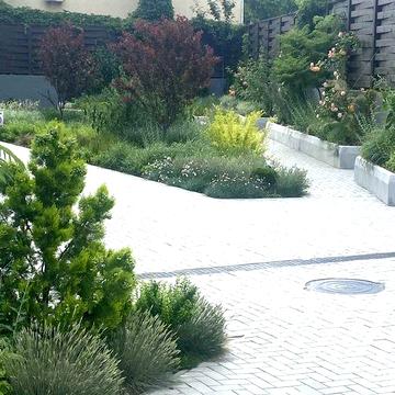 Сдам квартиру в Аркадии/Каманина