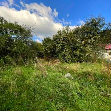 Центральна