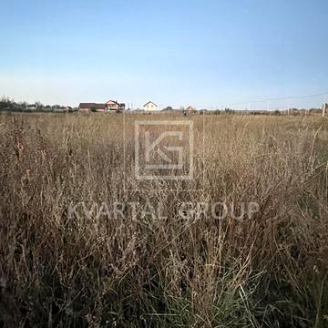 Ярослава Мудрого