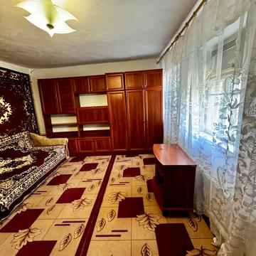 тополь Братское Новоалександровка