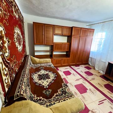 тополь Братское Новоалександровка