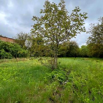 Бабин, Рівненський, Рівненська область 20000.0 USD