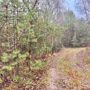 Фасівочка, Бучанський, Київська область 170.0 USD