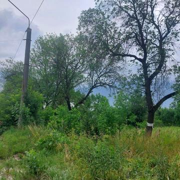 Зелена вул.