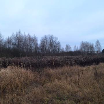 Козин, Обухівський, Київська область 81000.0 USD