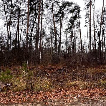 Вул. Святошинська