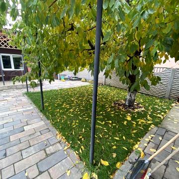 Дом ( дружба )долгинцево на 6 км