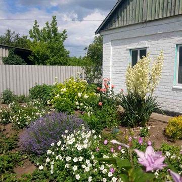 Продам будинок! с.Личкове, Дніпропетровська область