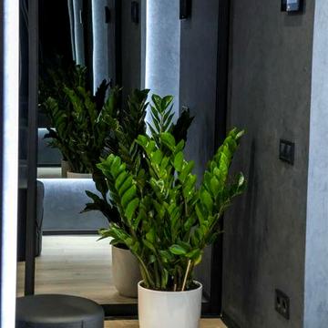 Чудова однокімнатна квартира в центрі Києва