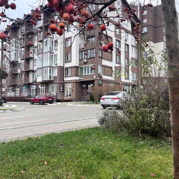 Феодосія Печерського вул. (Піонерська), (Будинок)