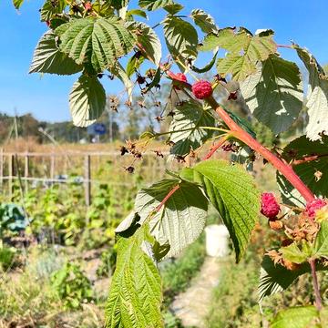 Продаж 1к Квартира Вокзальна вулиця ЖК GreenЛандия
