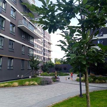 Оренда 3к Авалон Флекс вул.Топольна ,4  Шевченківський район