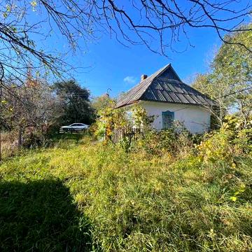 Продам будинок в с.Некрасово (Юзвин) з ділянкою 25 соток (9880)