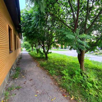 Здається в оренду частина будинку, в м. Сквира.