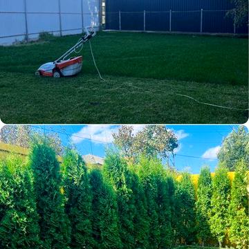 Квартира/Будинок