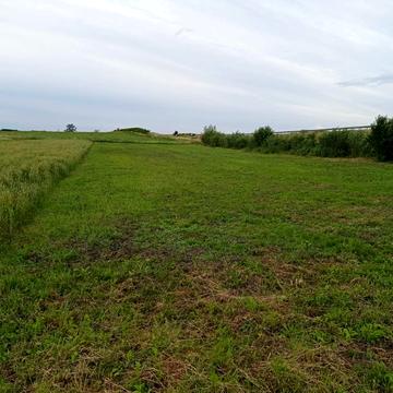 Підбірці, Львівський, Львівська область 75000.0 USD