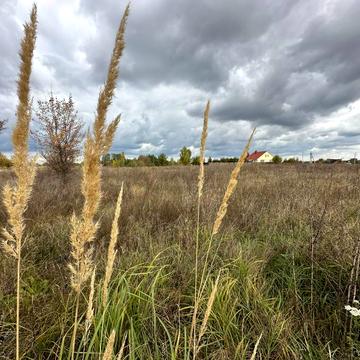 Блиставиця, Бучанський, Київська область 25000.0 USD