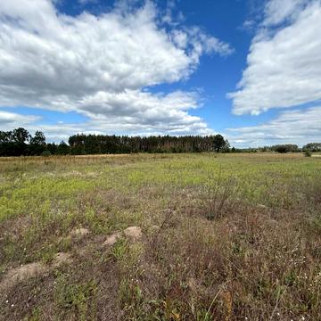 Дмитрівка, Бучанський, Київська область 13000.0 USD